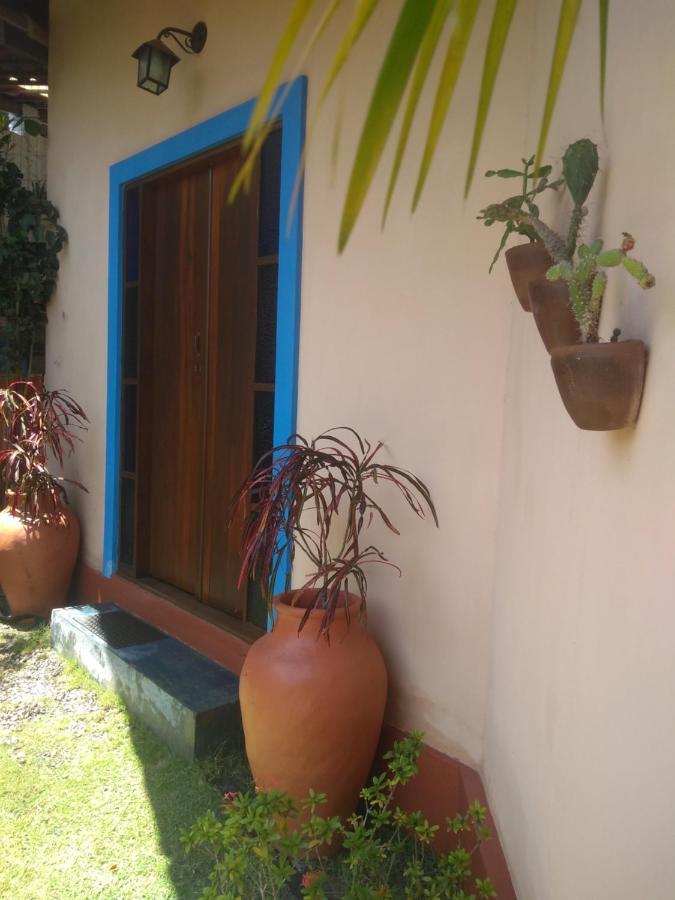 Beijupipa *